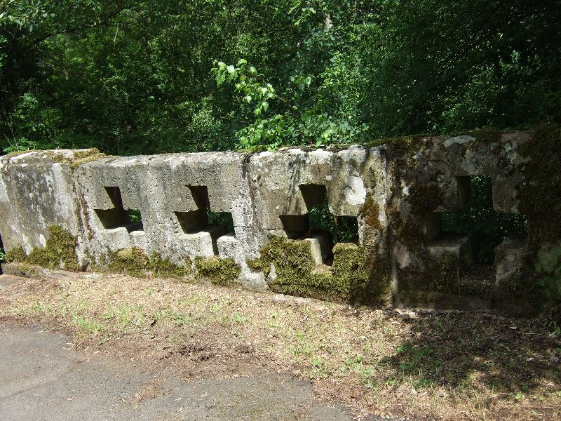 2011- 118.jpg